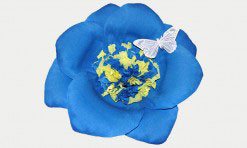 Divkrāsu papīra zieds (tumši zils, dzeltens)