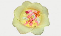 Divkrāsu papīra zieds (dzeltens, rozā)
