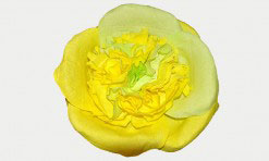 Divkrāsu papīra zieds (zaļš, dzeltens)