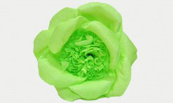 Zaļš papīra zieds