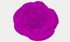 Tumši violets papīra zieds