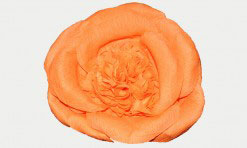 Oranžs papīra zieds