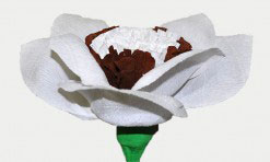 Balts papīra zieds