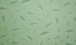 Zaļš papīrs ar spalvām 50x75 cm (DP1.30)