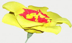 Divkrāsu papīra zieds (dzeltens, sarkans)