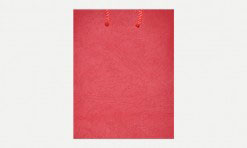 Sarkans papīra dāvanu maisiņš 15x12x6 cm (DMV1.1)