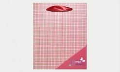 Sarkans papīra dāvanu maisiņš 24,5x19,5x9,5 cm (DMB1.1)